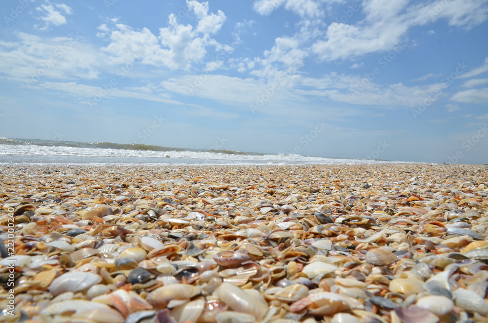sea beach vacation sea beach vacation