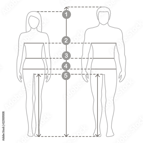 Vector contour illustration of man and women in full length with measurement lines of body parameters . Man and women sizes measurements. Human body measurements and proportions.