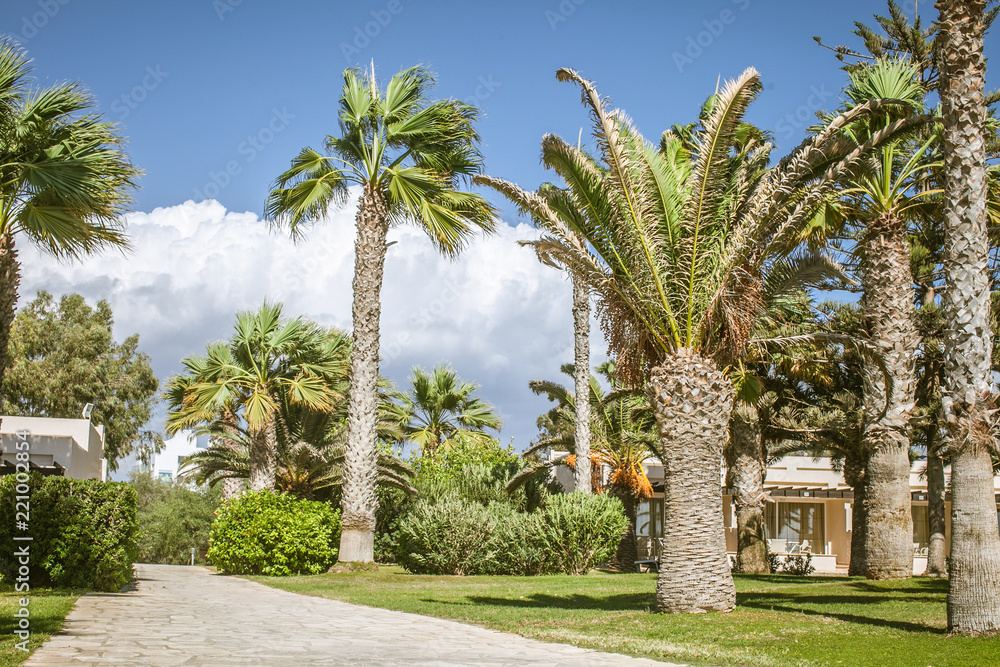 Fototapeta premium Cyprus
