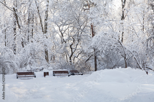 Snow covered benches, bad weather concept. Beautiful snowfall winter park trees landscape