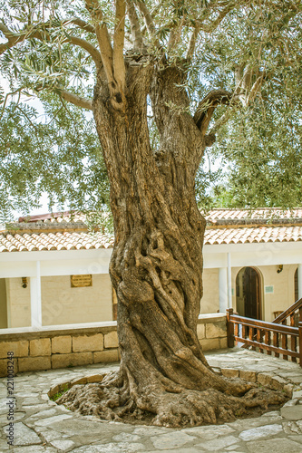 Cyprus