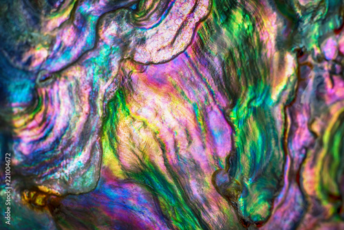 High magnification macro of nature texture pearl shell. Rainbow colors abstract background close-up. photo