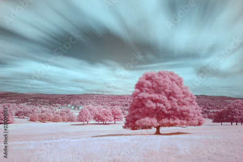 Infrared Landscape Peak District, Chatsworth Park photo