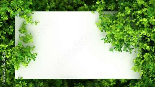 Beautiful summer background with leaves. 3d illustration, 3d rendering. photo