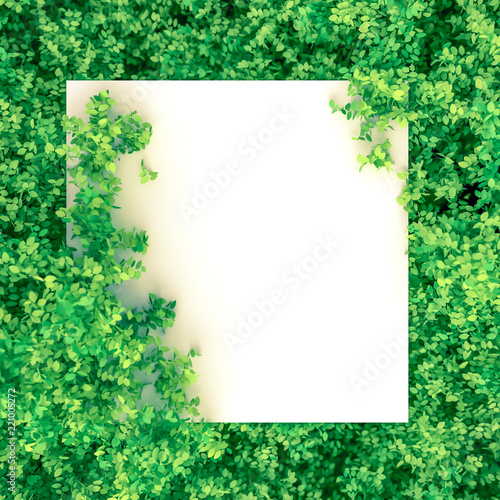 Wallpaper Mural Beautiful summer background with leaves. 3d illustration, 3d rendering. Torontodigital.ca