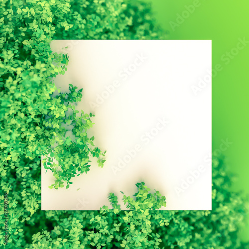 Wallpaper Mural Beautiful summer background with leaves. 3d illustration, 3d rendering. Torontodigital.ca