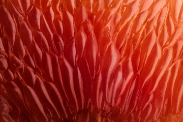 Orange slice background. Abstract macro shoot.