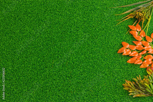 Autumn Leaves Grass Background Flat lay
