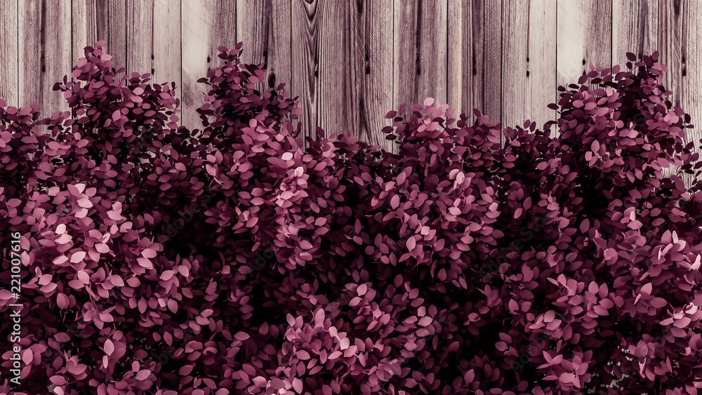 Beautiful pink background with leaves and wood texture, season of the year. 3d illustration, 3d rendering. Beautiful pink background with leaves and wood texture, season of the year. 3d illustration, 3d rendering.
