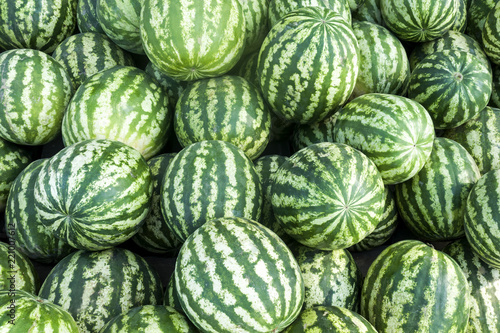 Pile of striped green watermelons close-up. Nature background