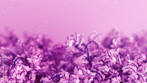 Beautiful purple background with leaves  season of the year. 3d illustration  3d rendering.