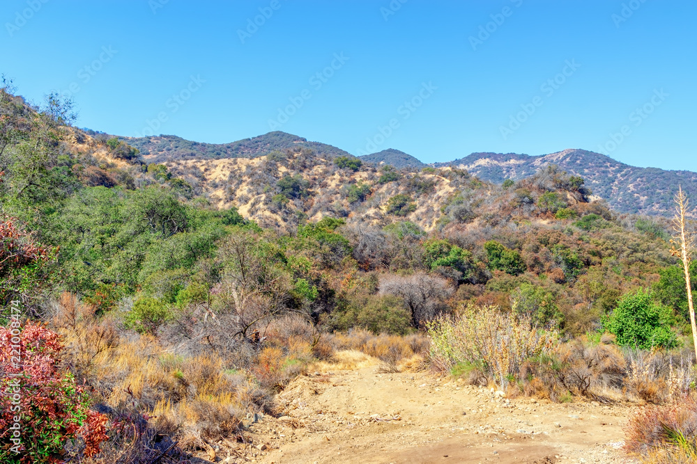 Dirt road for hiking and biking in Southern California summer sun