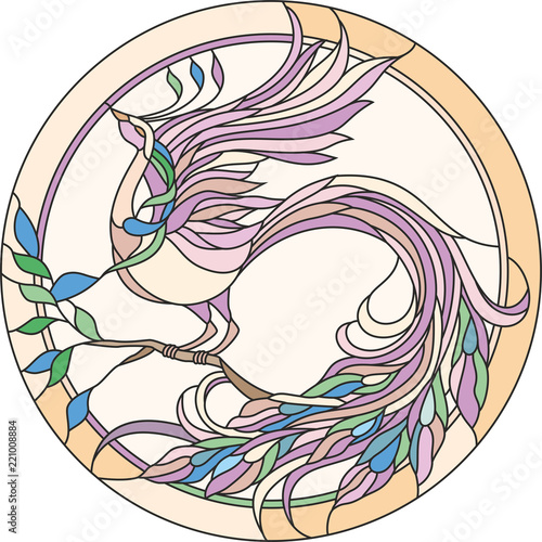 the stained glass peacock