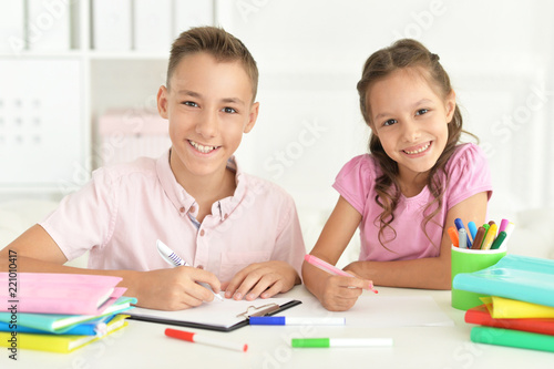 Portrait of brother and sister doing homework