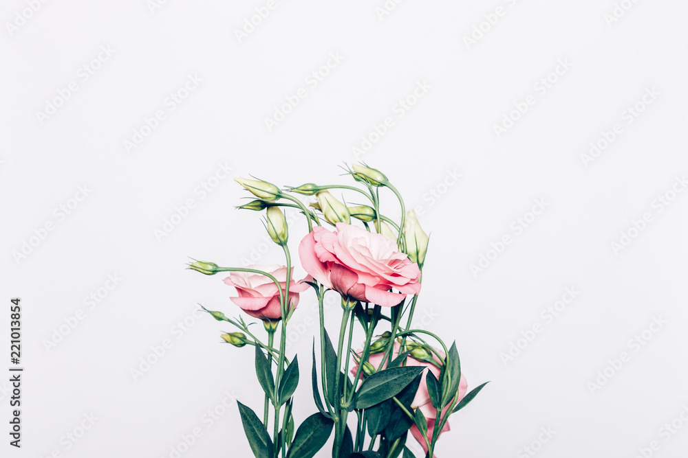 Refined pink flowers bouquet on white background