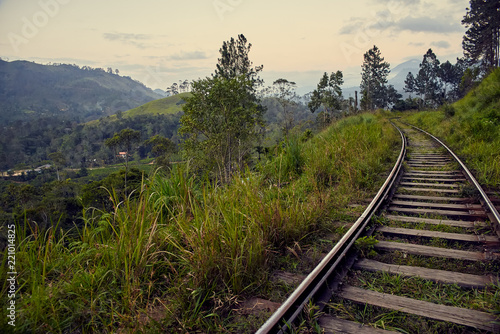 Railway in the jungles of Sri Lanka