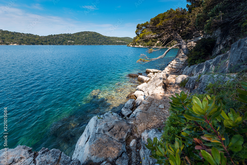 Amazing nature of beautiful island Mljet in Croatia.Europe