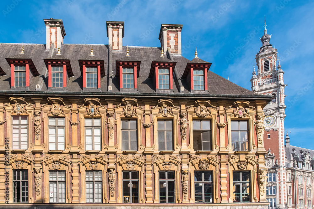 Fototapeta premium Lille, beautiful ancient facade in the center