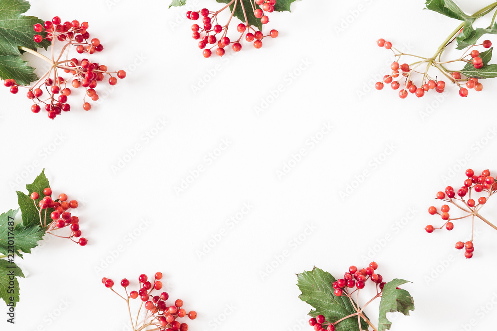Autumn composition. Frame made of berries on white background. Autumn, fall concept. Flat lay, top view, copy space Autumn composition. Frame made of berries on white background. Autumn, fall concept. Flat lay, top view, copy space