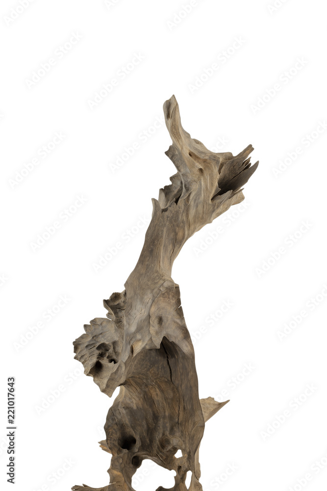 Product from the roots of oak in white background.
