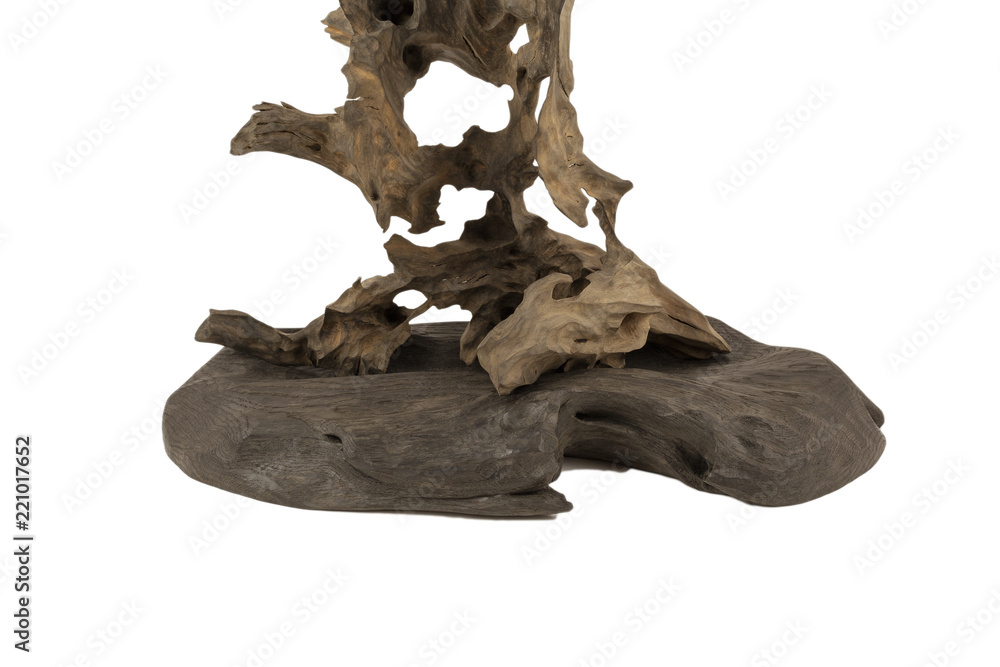 Product from the roots of oak in white background. Product from the roots of oak in white background.