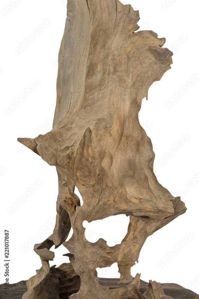 Product from the roots of oak in white background. Product from the roots of oak in white background.