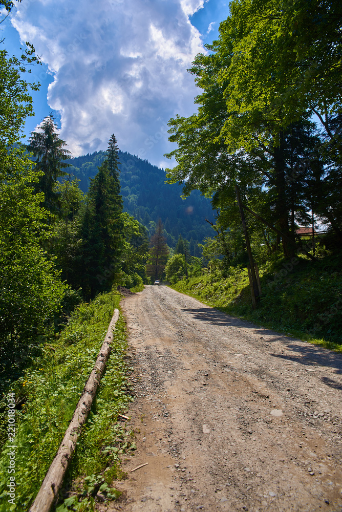 road in the Carpathian mountains