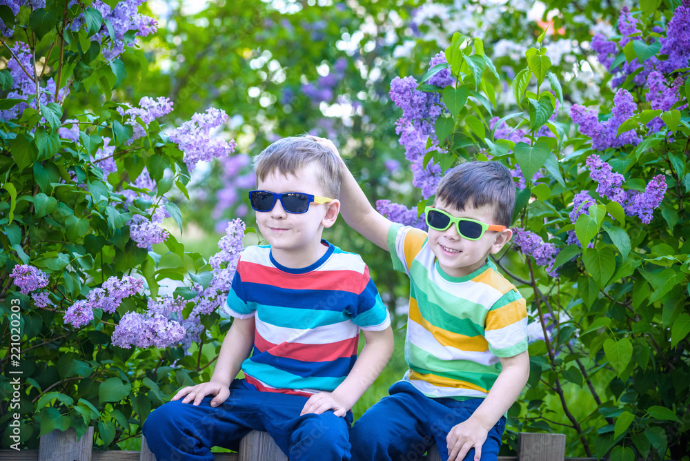 Φωτογραφία Portrait of two little brothers sitting on small fence in bushes of lilac wearin
