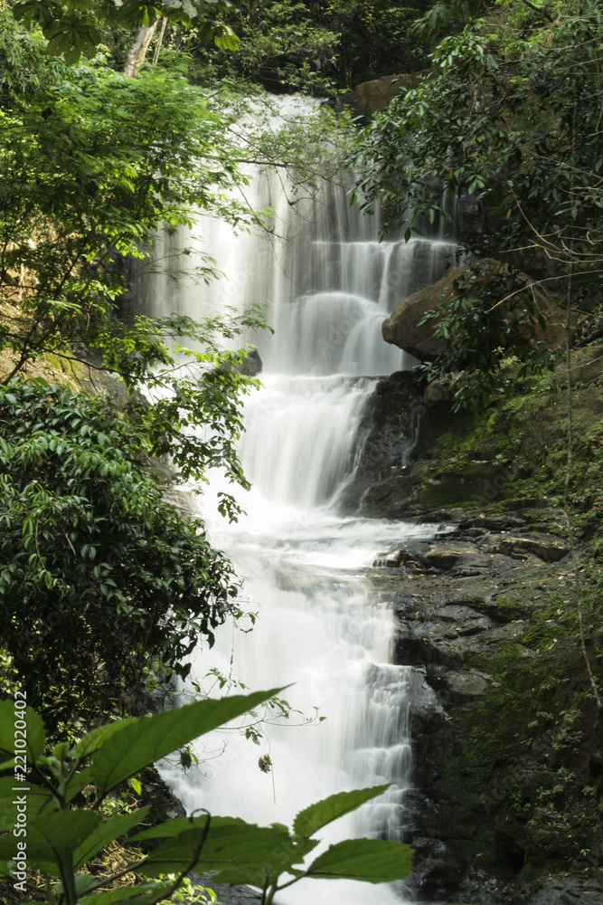 Obraz premium Cascata em riacho no bosque, em baixa velocidade