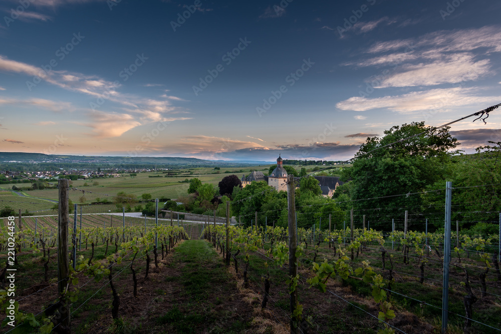 Sunset at the Schloss Vollrads, Oestrich Winkel, Germany