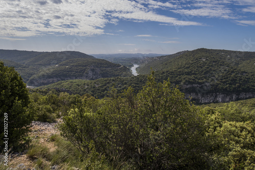 Forest Landscape with River in France © Luca