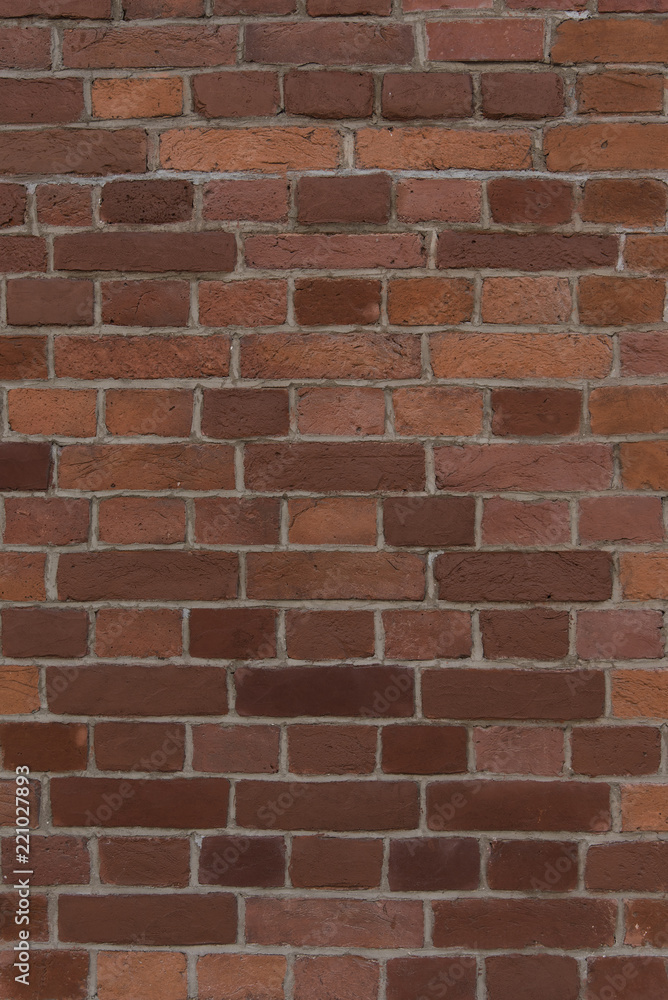 The background is an old brick wall. The background is an old brick wall.