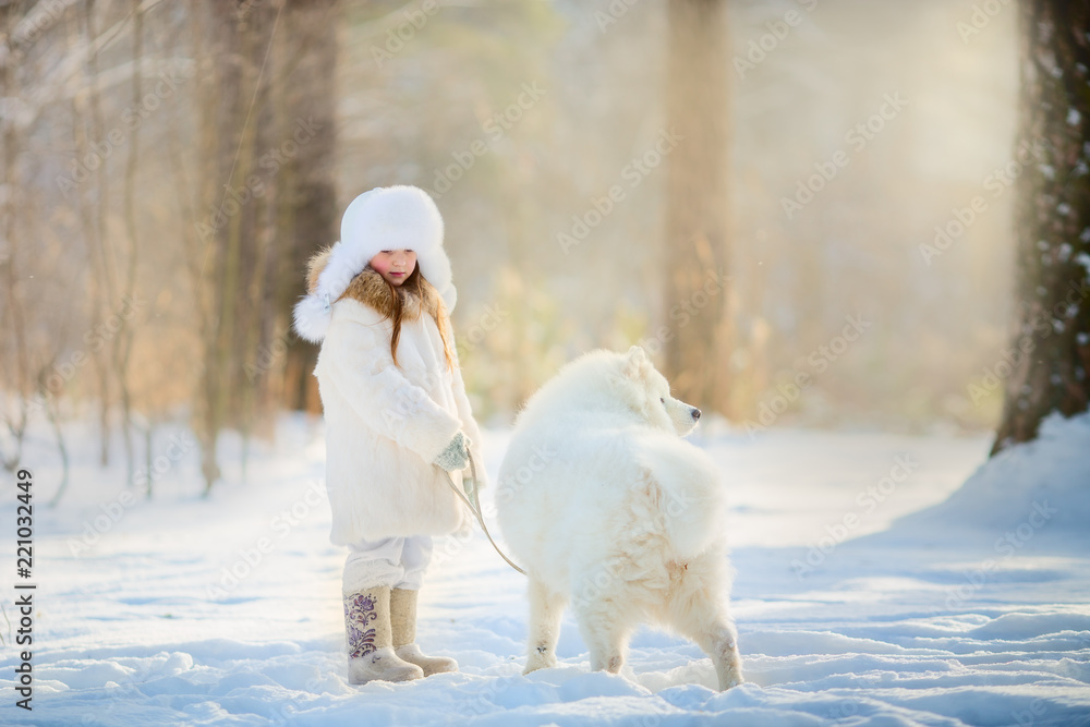 Winter girl portrait with samoyed dog Winter girl portrait with samoyed dog