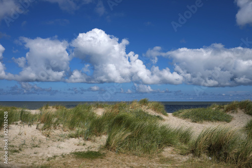 Fototapeta Naklejka Na Ścianę i Meble -  Dünen und Sand und Meer und blauer Himmel und weiße Wolken - Stockfoto