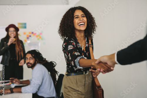 Smiling businesswoman shaking hands with a business person