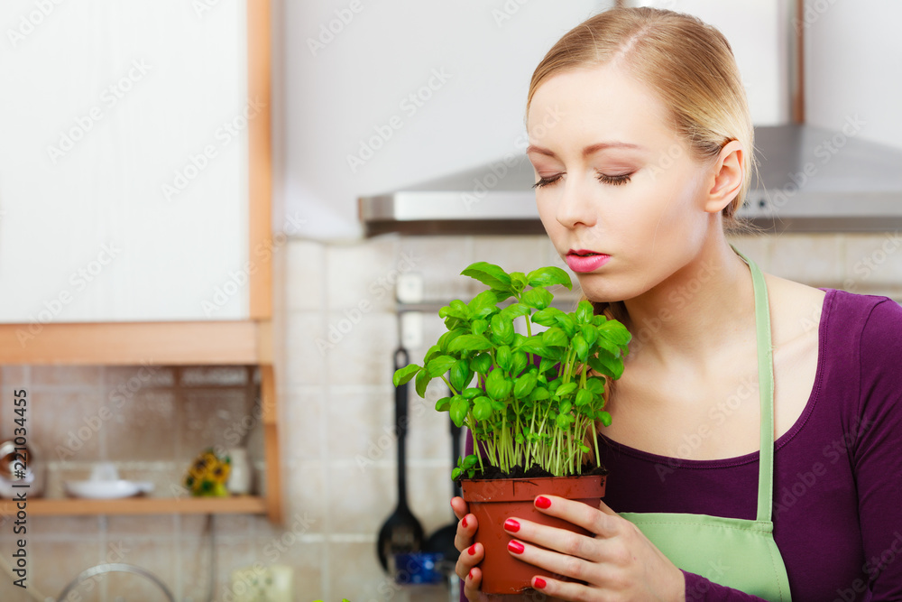 Woman in kitchen with green fresh basil in pot Woman in kitchen with green fresh basil in pot