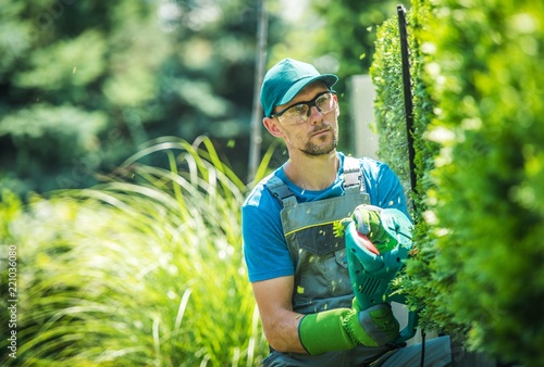 Gardener Trimming Thujas photo