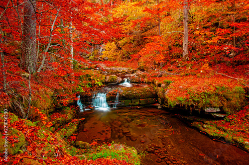 Waterfall in the forest in ...