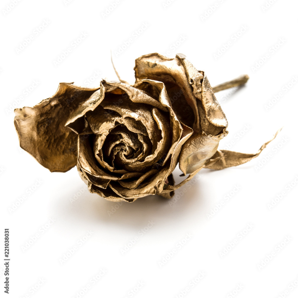 Fototapeta premium Jedna złota róża na białym tle na białe tło wyłącznik. Złota główka suszonego kwiatu, koncepcja romansu.