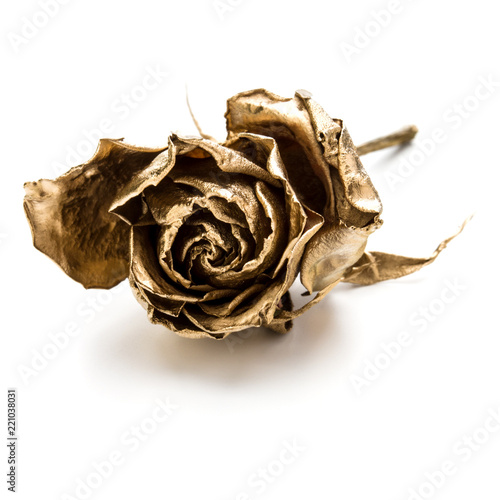 One gold rose isolated on white background cutout. Golden dried flower head, romance concept.