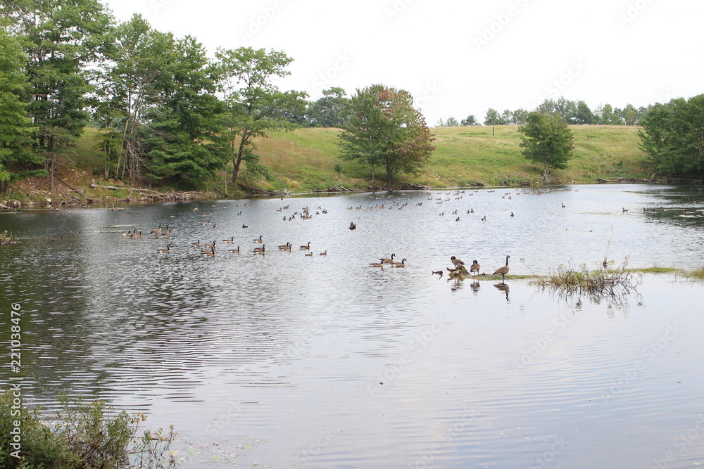 lake lake