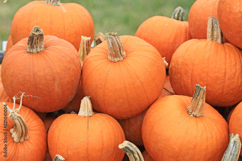 Orange Pumpkins Orange Pumpkins