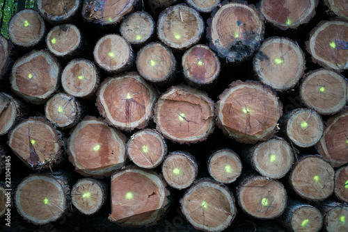 Schnittkanten eines Holzstapel