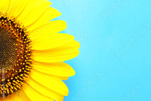 Fototapeta Naklejka Na Ścianę i Meble -  Beautiful bright sunflower on color background, top view