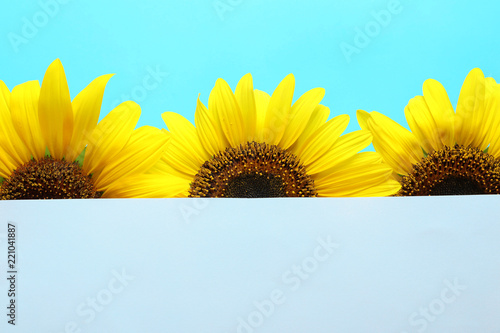 Fototapeta Naklejka Na Ścianę i Meble -  Beautiful bright sunflowers and card on color background
