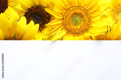 Fototapeta Naklejka Na Ścianę i Meble -  Beautiful bright sunflowers and card as color background