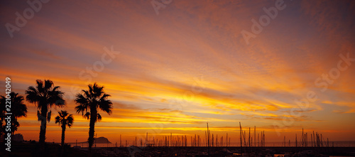 orange sunrise in a port with yacht masts and palm trees