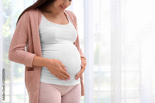 Free Download Young pregnant woman near window at home, closeup - GFXLoad
