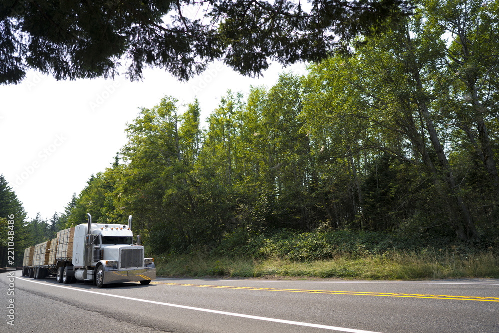 Big rig classic semi truck with three flat bed semi trailers transporting lumber on green road with trees