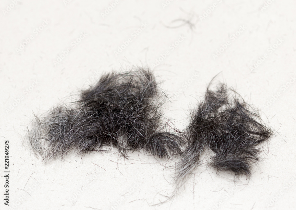 Hair on the floor in the hairdresser's Hair on the floor in the hairdresser's